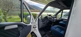 Fiat Ducato Eura Mobil Alkoven - Fiat Alkoven