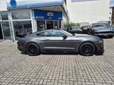 Ford Mustang 5.0GT  19ZOLL*SHELBY OPTIK*MEM.DIG.VOLL* - gebrauchte Ford Mustang aus dem Jahr 2019