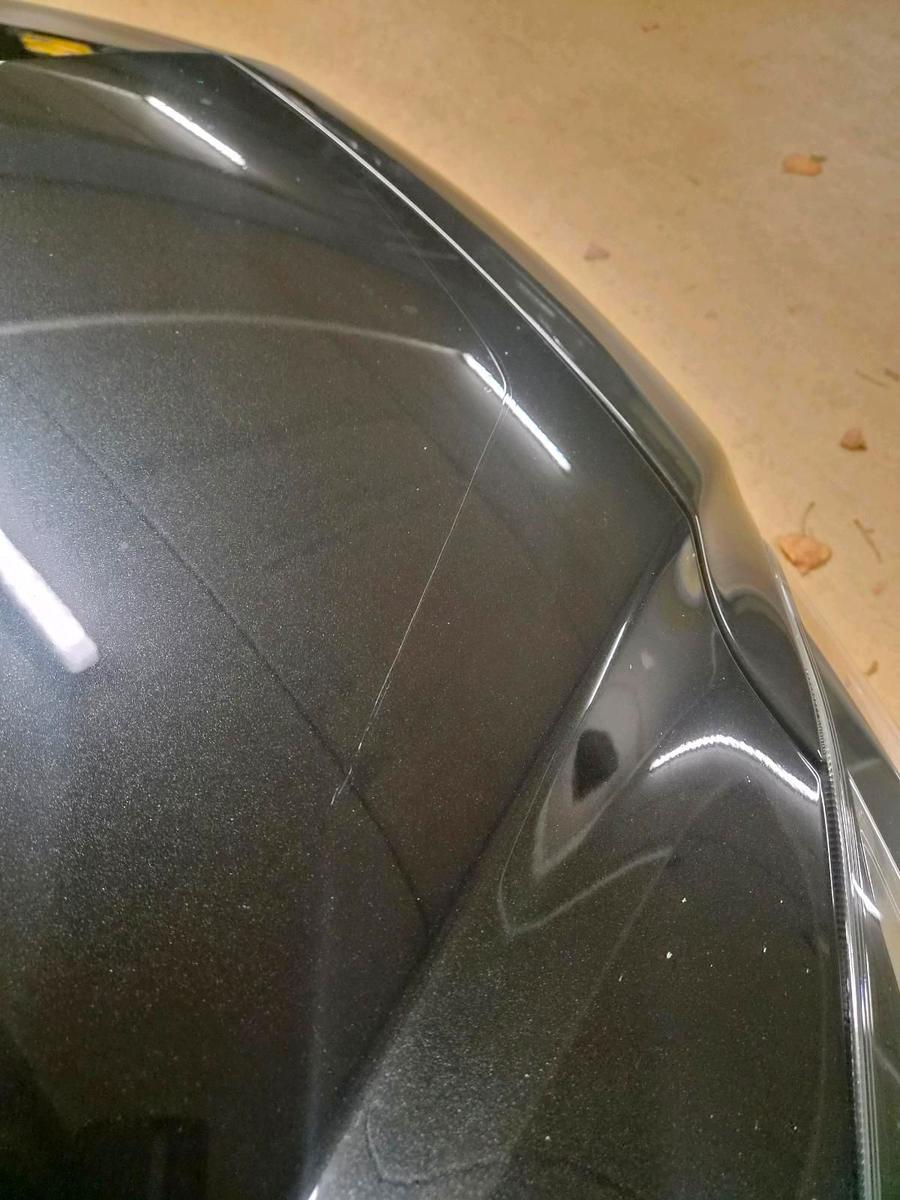 Opel Insignia 2015 — photo 12