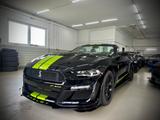 Ford Mustang 2.3 Ecoboost/ Shelby/Virtual - Ford Mustang: Shelby