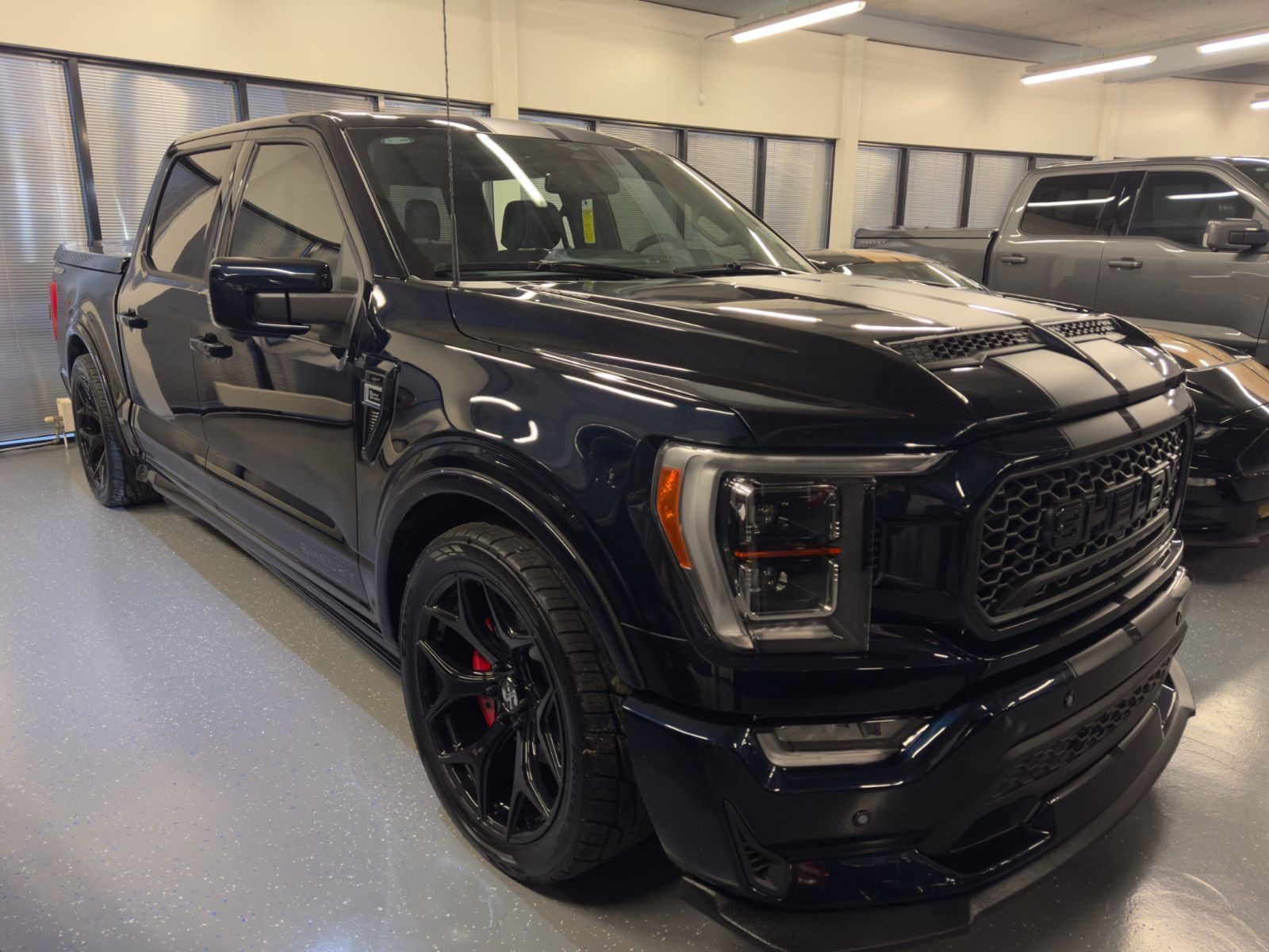 Ford SHELBY F150 Supersnake Official Shelby EU Model imagem 2