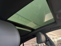 Audi Q8 - Vorschau Bild 13