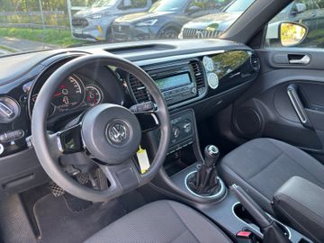 Volkswagen Beetle - 10