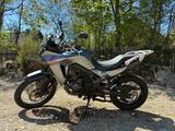 Honda XL 750 Transalp - Topzustand, wenig gefahren - HONDA TRANSALP