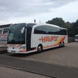 Mercedes-Benz Travego RHD-M | 13 m | 53+2+1 | EZ 03/2016  - Mercedes-Benz Reisebus Travego