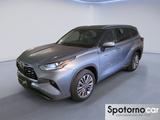 Toyota Highlander Highlander 2.5H AWD-i E-CVT Lo - graue Toyota Highlander