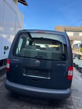 Volkswagen Caddy Life 1.9 TDI 77kW 4MOTION 7-Sitzer - - Volkswagen Caddy mit Diesel-Antrieb: 1.9