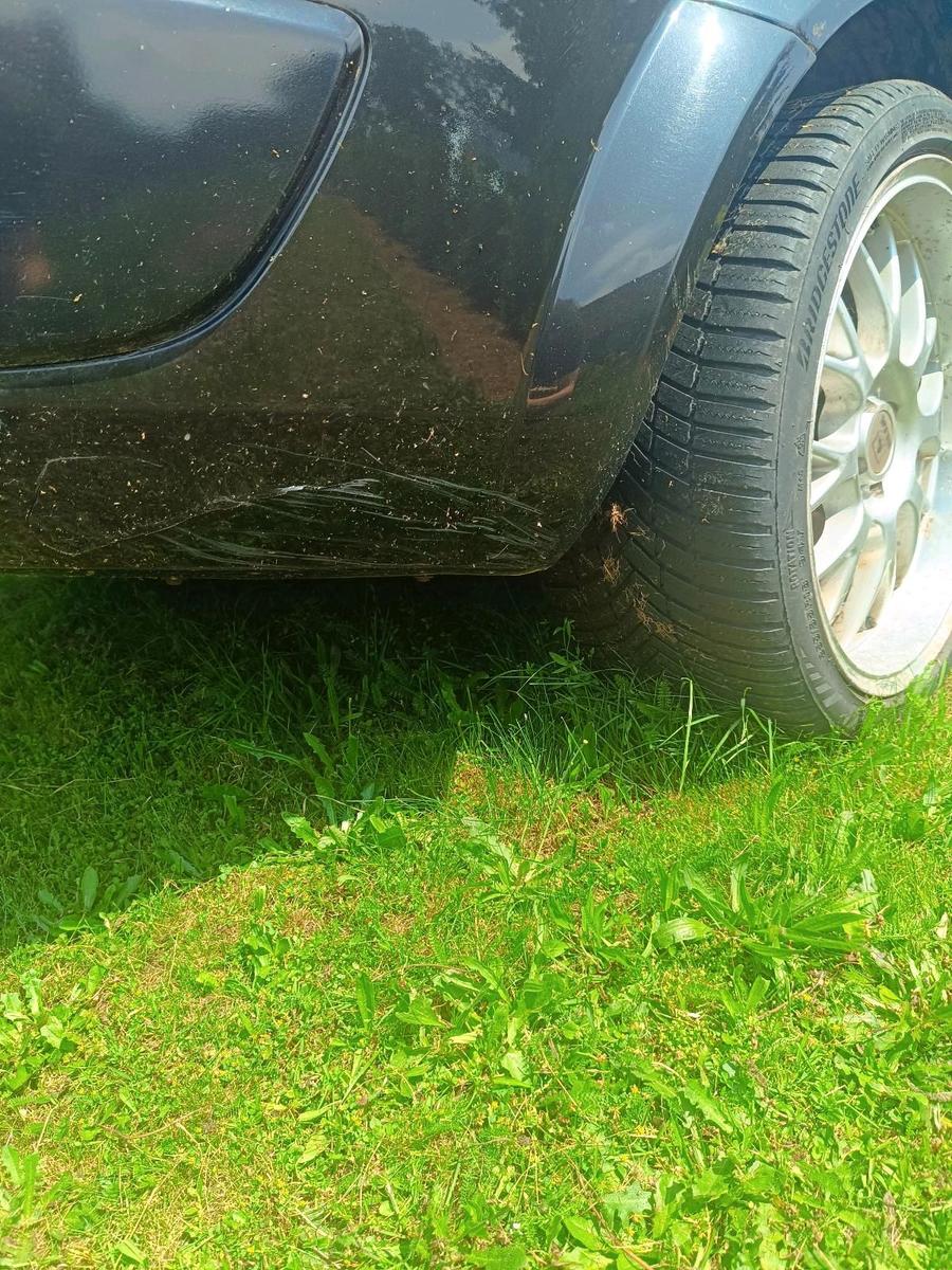 Renault Megane 2004 — photo 6