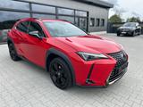 Lexus UX 250h Style & Edition - ACC-Totwinkel-DAB - Lexus aus 2021