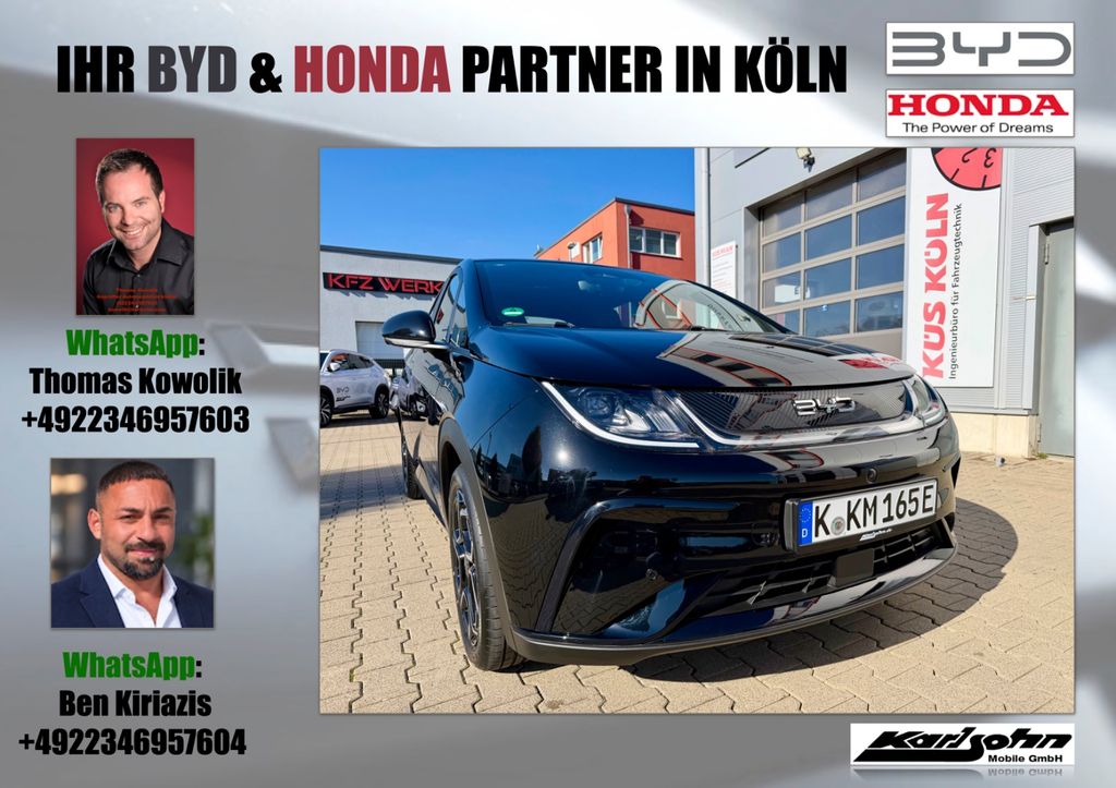 Image of BYD DOLPHIN