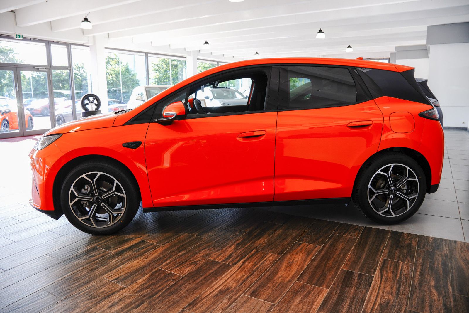 BYD DOLPHIN