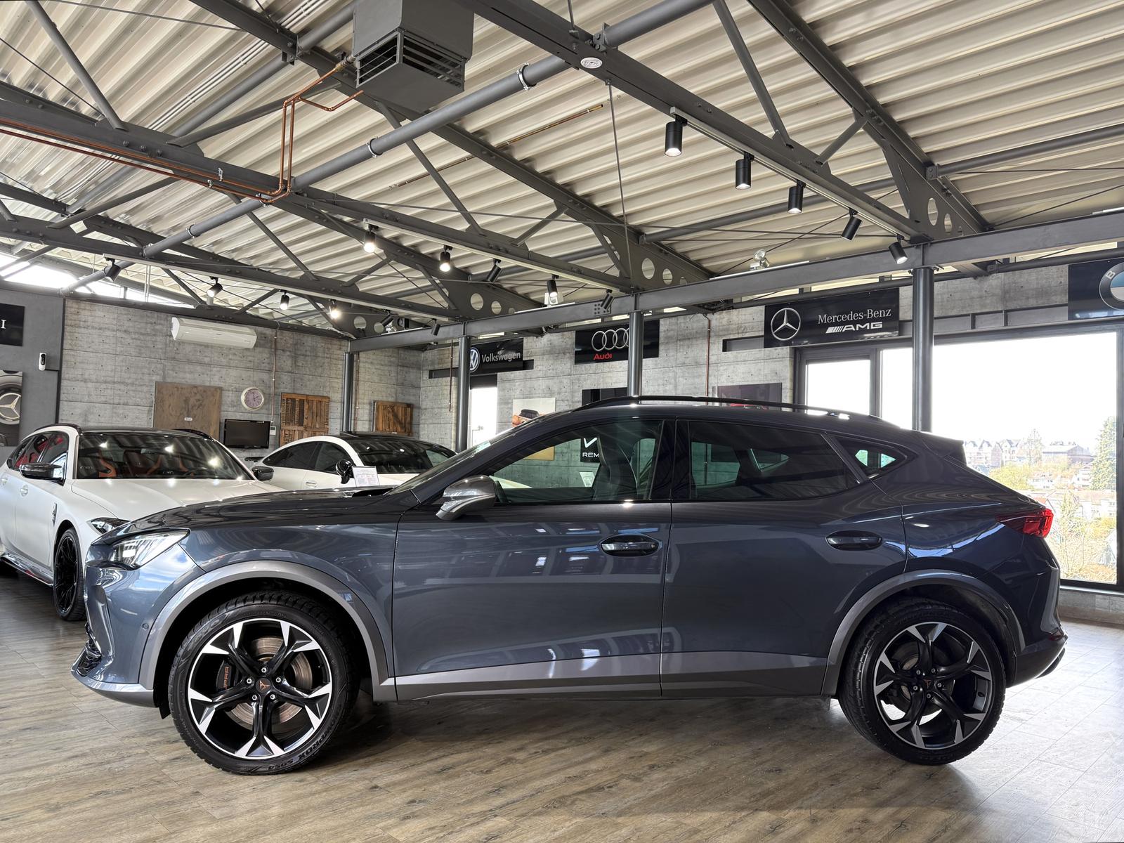 Cupra Formentor VZ 4Drive 2.0 TSI*KAMERA*ACC*LED*NAVI*