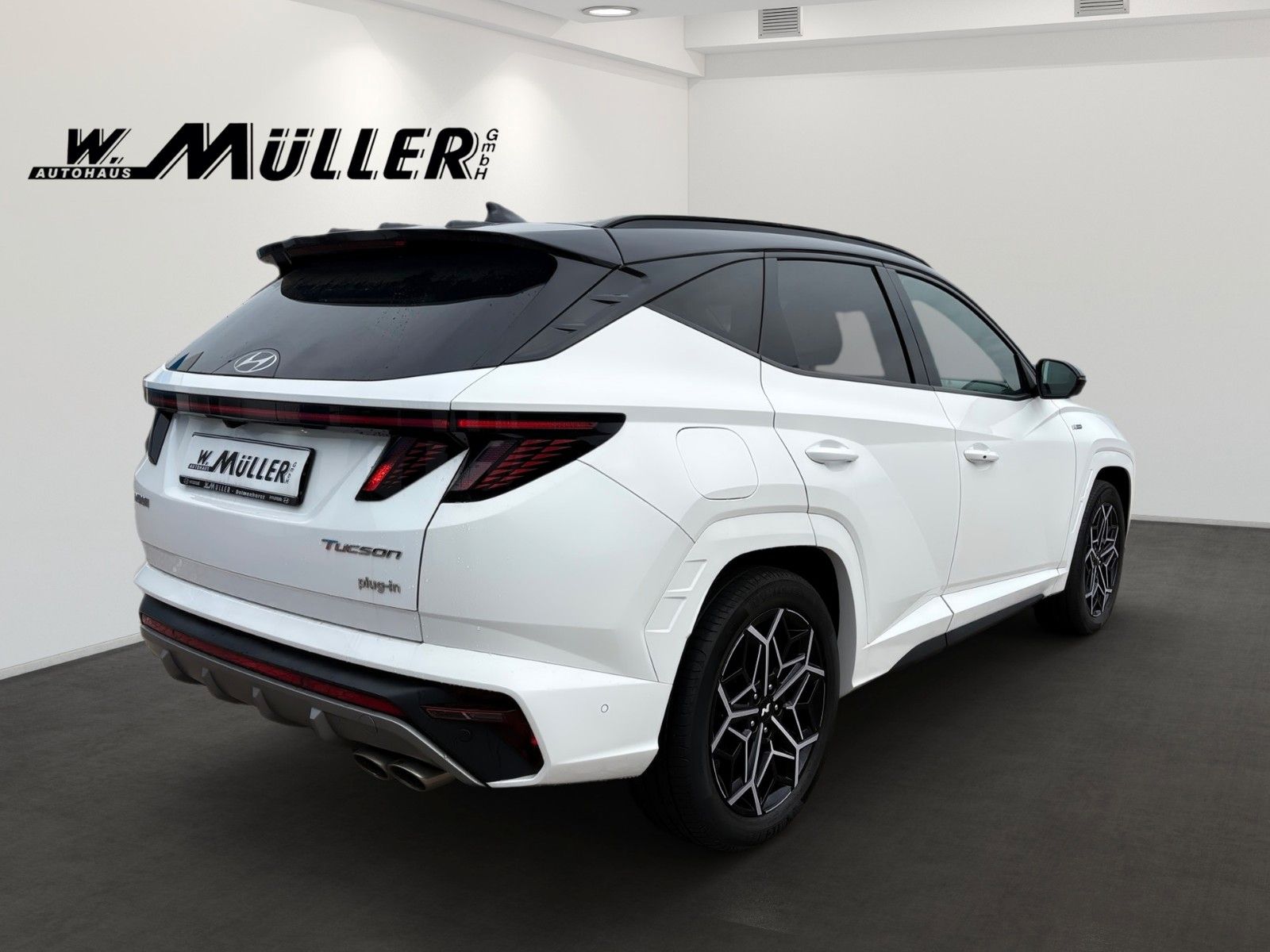 Fahrzeugabbildung Hyundai Tucson N Line Plug-In Hybrid Sitz- & Assis Paket
