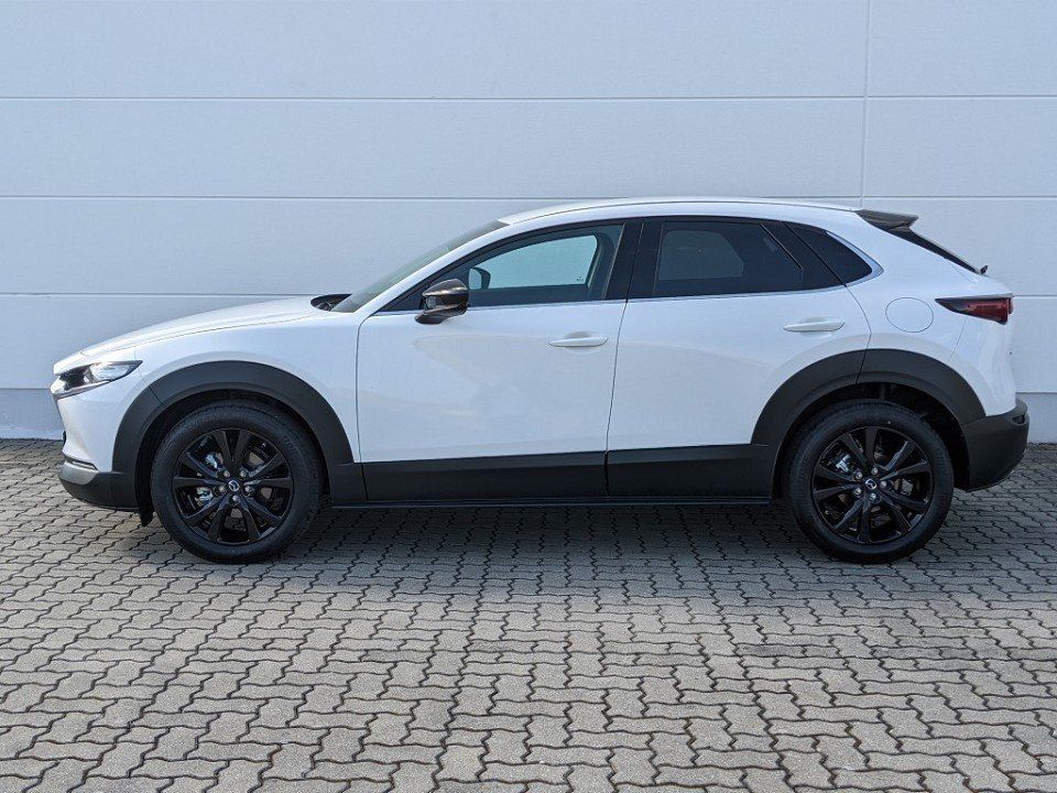 Mazda CX-30 2.5l (140PS) Homura Kamera Navi Head-up NE imagem 3