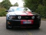 Ford Mustang GT  V8 5 Liter ca. 430 PS  - gebrauchte Ford Mustang aus dem Jahr 2012