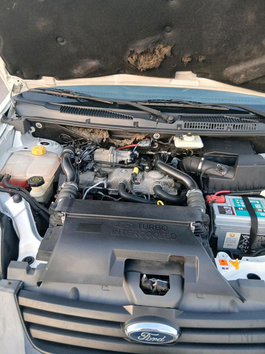 Ford  2012 — photo 9