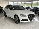 Audi SQ5 3.0 V6TDI Plus+Kamera+Leder+Xenon+TOP! - weiße Audi SQ5