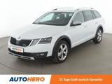 Skoda Octavia 2.0 TDI Scout 4x4 Aut.*NAVI*LED*TEMPO* - Skoda Octavia: TDI Scout
