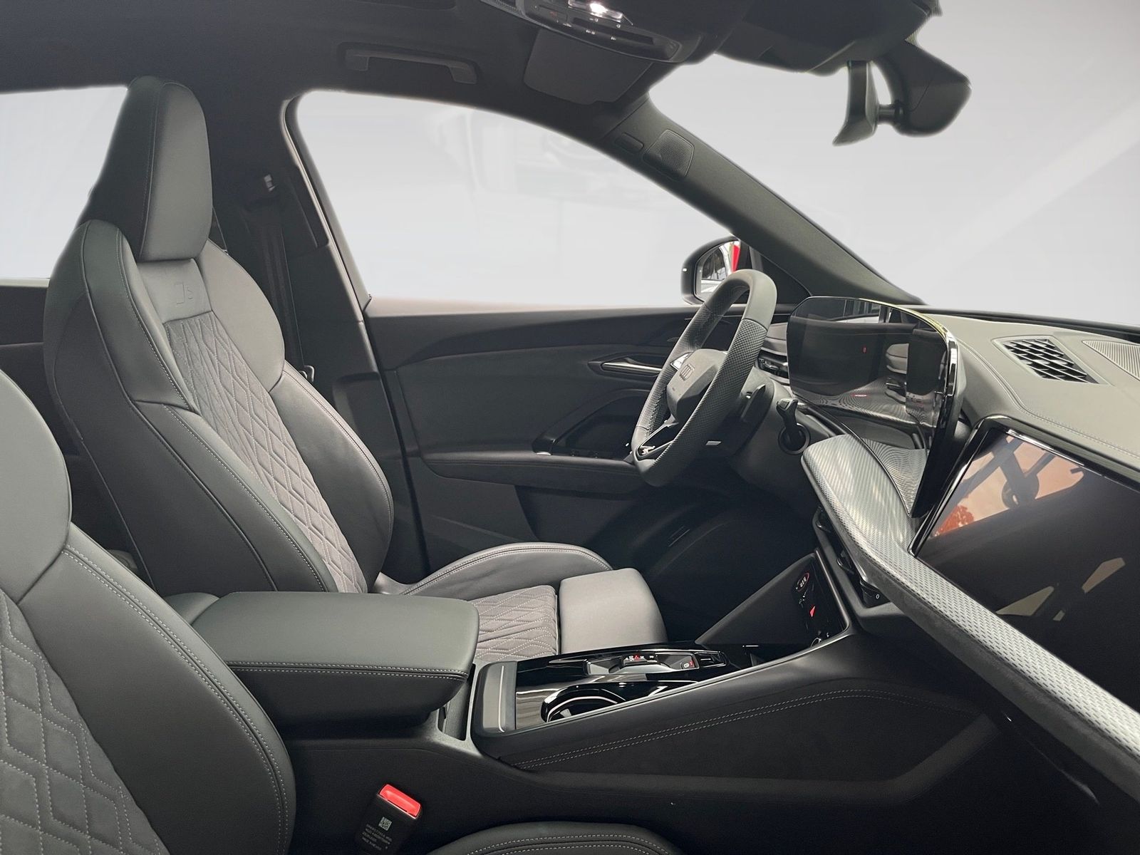 Audi SQ5 - Bild 9