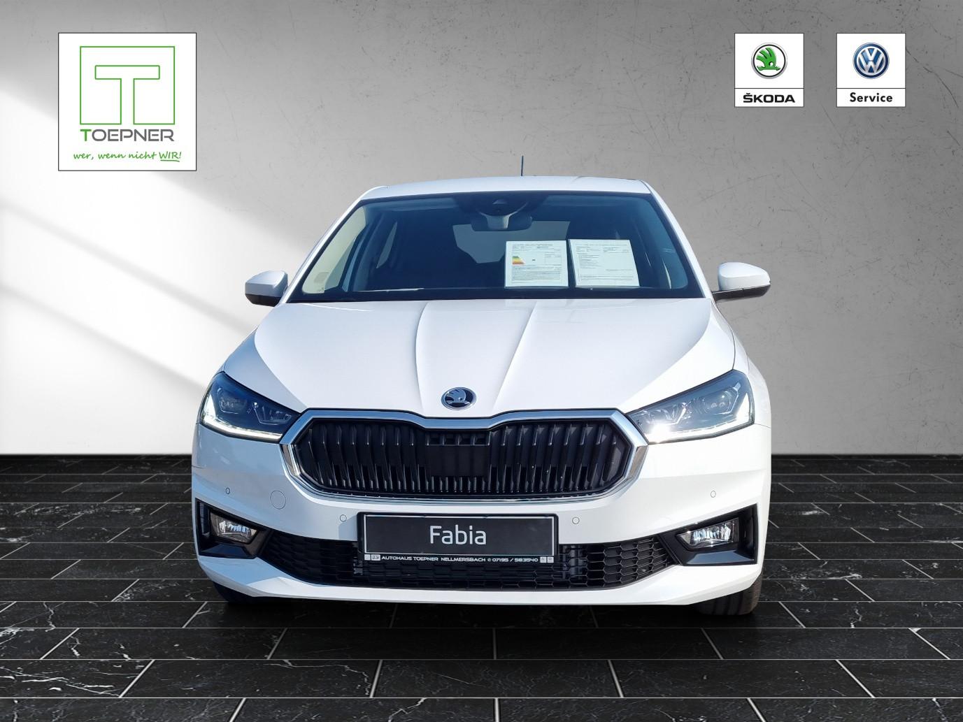 Skoda Fabia Tour 1,0 TSI 85KW/115PS WINTER DesignLodge