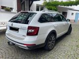 Skoda Octavia 2.0 TSI DSG 4x4 Scout Combi Scout - Skoda Octavia Scout mit Benzin-Antrieb