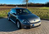 Volkswagen The Beetle - Volkswagen New Beetle mit Diesel-Antrieb