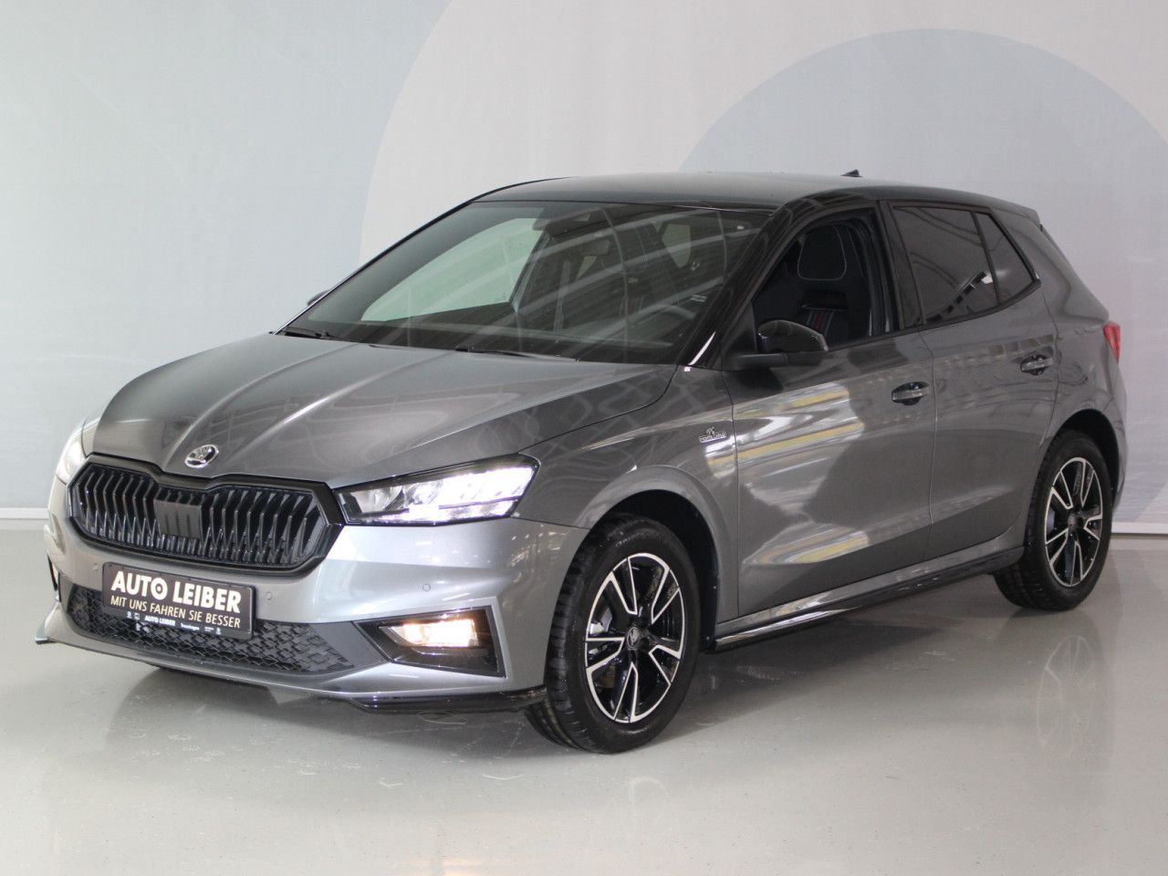 Fahrzeugabbildung SKODA Fabia 1.0 TSI Monte Carlo /Cam/LED/App