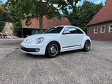 Volkswagen Beetle 1.4 TSI BMT CUP CUP