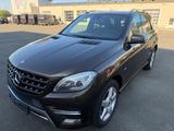 Mercedes-Benz ML 250 BlueTEC 4MATIC 7G-Tronic AMG-Sportpaket - Mercedes-Benz ML 250 aus 2012