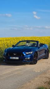 Ford Mustang 5.0 Ti-VCT V8 GT Premium  - Ford Mustang: Cabrio