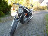 Suzuki VX 800 - Angebote