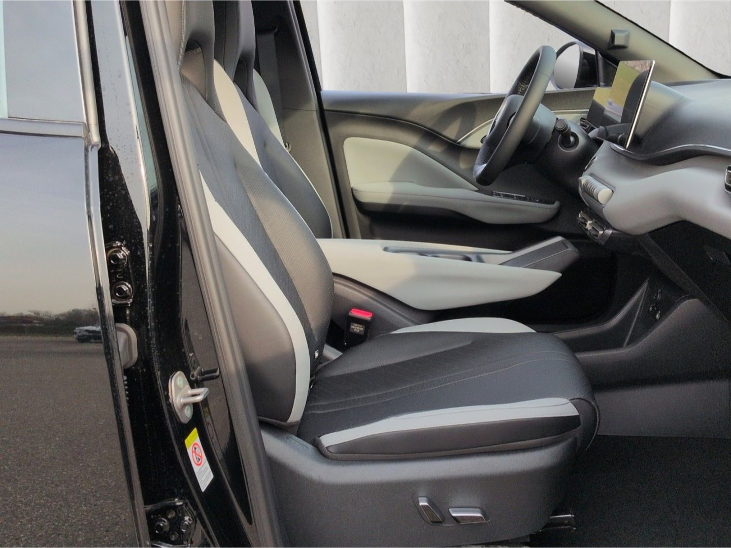 BYD DOLPHIN SURF