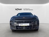 Cupra Terramar - Vorschau Bild 2