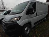Fiat Ducato - Fiat Ducato in Hamm