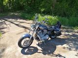 Harley-Davidson Sportster 883 XL 2003 Custom - Angebote