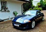 Jaguar XK8 - Jaguar XK8