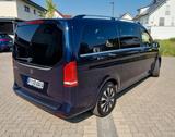 Mercedes-Benz V 300 d Aut. AVANTG. ED. lang AVANTGARDE EDITION - Mercedes-Benz V 300 von privat