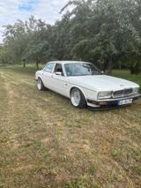 Jaguar xj 40 - Jaguar XJ40 von privat