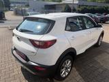 Kia Stonic Edition 7 - Kia Stonic Gebrauchtwagen
