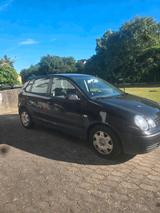Volkswagen Polo Original 77865 km - Volkswagen Polo: Original