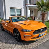 Ford Mustang 2.3 EcoBoost Auto - - gebrauchte Ford Roadster