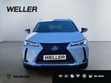 Lexus UX 250h Style Edition *Bi-LED*ACC*CAM*SHZ*CarPla - Lexus