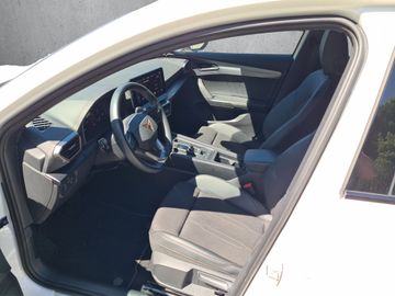 Fahrzeugabbildung CUPRA Formentor 1.5 TSI DSG Klima Rückfahrkamera