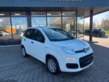 Fiat Panda Serie 2 1.2 More 51kw (69PS) - Fiat Panda: More