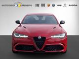 Alfa Romeo Giulia QUADRIFOGLIO 2.9 V6 Bi-Tu 520 PS El. Fond - Alfa Romeo: 2.5