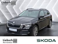 Skoda Kamiq - Vorschau Bild 1