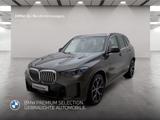 BMW X5 xDrive40d M Sport Driv.Assist.Prof Harman/K - BMW X5: Grün