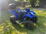 Kymco KXR 250 Sport Quad ATV Einsteiger - KYMCO QUAD KXR 250