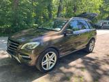 Mercedes-Benz ML 250 BlueTEC 4MATIC Edition 1 Edition 1 - Mercedes-Benz ML 250 in München