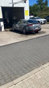 Hyundai i30 2.0 T-GDI N Performance Fastback N Perfo... - Hyundai i30 Gebrauchtwagen in Hamburg